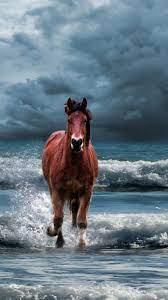 Horse Run Beach Sea Waves 720x1280 Wallpaper Horse Aesthetic Horses Horse Wallpaper