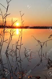 Good morning winter images download. Good Morning Winter Stock Photo Picture And Royalty Free Image Image 15726421