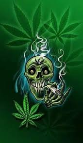 Tentu saja gambar daun ganjah kartun memang telah banyak dicari oleh orang di internet. High