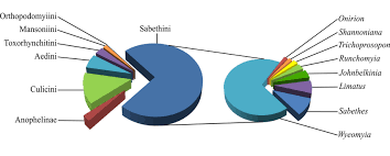 1 Taxonomic Coverage By Tribe Pie Chart On The Left With A