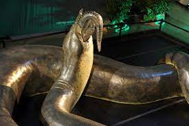 The death of the giant reptiles left a vacuum at the top of the food chain, and titanoboa gladly stepped up. Titanoboa The Biggest Serpent In The Prehistoric World