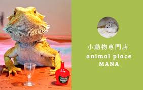 Animal Place Mana 東京都青梅市 レプショップサーチ
