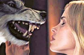 Quella Recensione Di Quella Casa Nel Bosco