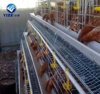 Cage à poulet locale poulailler mobile à vendre poulailler facile à bricoler
