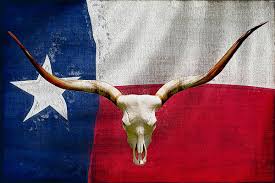 Are you searching for longhorn skull png images or vector? Cow Skull Paintings Fine Art America