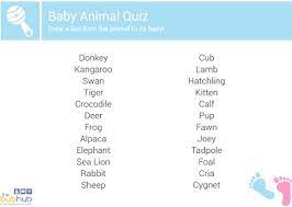 Rd.com knowledge facts snails have very particular sleeping habits. 32 Fun Baby Shower Games To Play Bub Hub