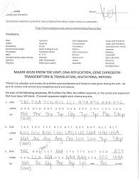 Use first 3 letters of amino acids for aa. Http Www Everettsd Org Cms Lib07 Wa01920133 Centricity Domain 1010 Key Molecgenstudyguide Pdf