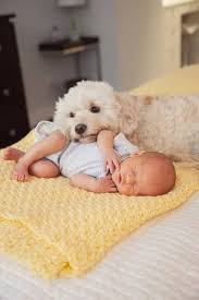 Animalsandbabies Dogs And Kids Animals For Kids Cute Puppies