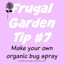 You can make your own homemade spray for the yard using ingredients you probably already have. The Gardener S Arsenal 10 Things To Spray Sprinkle Brew For Garden Pest Control