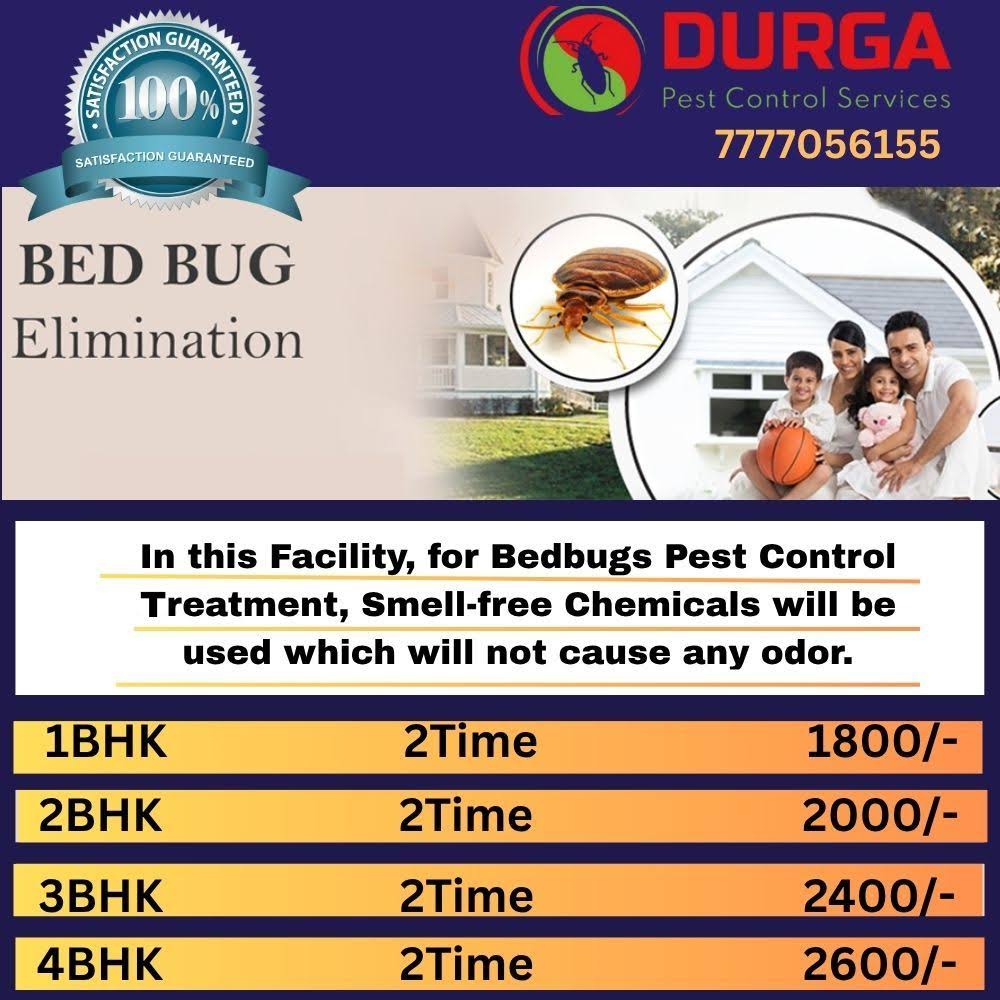 Bed Bugs Treatment product image