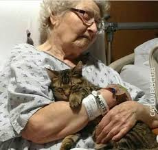 Stick around till the end☺️