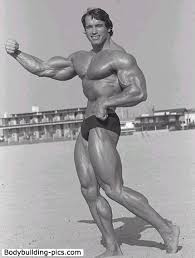 Then the young man did not yet possess such a muscularbody, as in the years of its heyday. The Amazing Physique Of A Schwarzenegger How He Developed It 1967 Article Physical Culture Study