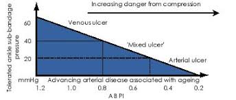 Doppler Assessment And Abpi Interpretation In The