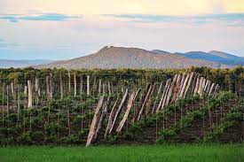 Check spelling or type a new query. Black Birch Vineyard And Summit House View Photograph By Sven Kielhorn