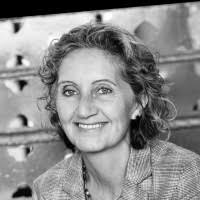 50+ "Sleigh" profiles