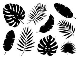When celebrating the life of your loved one, this palm leaves. Palm Leaf Illustrations Royalty Free Vector Graphics Clip Art Istock Leaf Illustration Leaf Stencil Palm Leaf Art