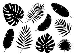 Loving this color scheme this summer! Palm Leaf Illustrations Royalty Free Vector Graphics Clip Art Istock Leaf Illustration Leaf Stencil Palm Leaf Art