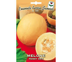 Melon Jaune Melon Vert