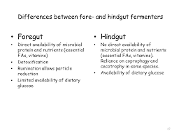 Two sacs (tubiform & a sacciform forestomach) these microbes consumes glucose & produce fatty acids for energy. Fermentative Digestion Not In Your Book In Any Detail The Concept Of Fiber Why The Anisomeric Carbon In Glucose Matters Nutritional Symbioses The Ppt Download