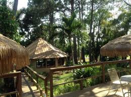 Frig, microwave, all you need plus more like free cookies and popcorn. Garten Mit Vielen Sitzmoglichkeiten Und Dem Pavillon Bild Von Fairways Inn Of Naples Tripadvisor