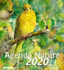 Learn the colours in english. Agenda Nature Edition 2020 Briand Maud Sud Ouest Editions Papeterie Coloriage Le Livre En Fete Figeac