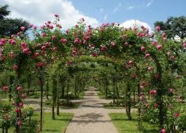 Eignen sich unsere mitteleuropäischen gefilde überhaupt für die mediterrane pflanzenwelt? Mediterrane Gartengestaltung Ideen Ideen Zur Gartengestaltung