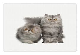 Lunarable Cat Lover Pet Mat For Food And Water Portrait Of Persian Cat Months Old Posing For Picture Feline Togetherness Rectangle Cat Lovers Pet Mat Dog Cat