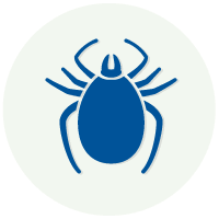 We specialize in bed bug and termite. Burgess Pest Management Massachusetts Pest Control Serving Cape Cod South Shore