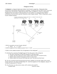 cladogam activity