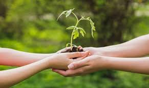 To register as an ngo, start by organizing the necessary documentation for the application. The Rise And Role Of Ngos In Sustainable Development