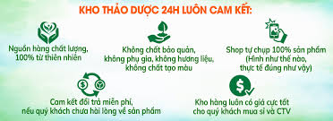 Kho Thảo Dược 24h – khothaoduoc24h