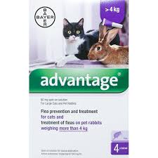 Advantage Purple Cats Over 8 8lbs 4kg 4 Pack