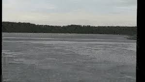 Maybe it's because she's always been my favorite monster. Loch Ness Monster Spotted In Russia Steemit