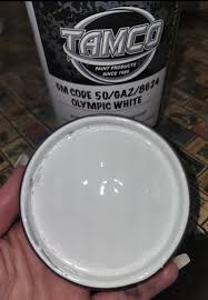Image result for Arctic White 2005 GM
