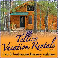 Enjoy a whole home for your vacation with vrbo 14 Tellico Plains Tn Ideas Tellico Plains Skyway Plains