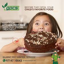 544 Reviews for Gujarat Pest Control Services in Navrangpura, Ahmedabad