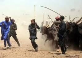 Image result for BREAKING: 10 killed as herdsmen attack Guma in Benue
