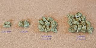 Quarters were heavier and weighed 0.22 ounces (6.25 grams). How Many Grams In An Ounce Quarter Or Eighth Of Weed A Visual Guide Production Grower