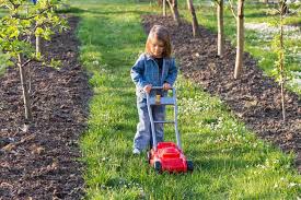 Despite their expensive nature, it is preferred to use lawn mowers because of immense benefits. 10 Best Toy Lawn Mowers 2021 Reviews