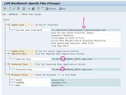 20% off orders at bloom & wild expired on jul 19, 2021 buyers guides make your desk at oasis of calm How To Use A Wildcard In Lsmw Sap Blogs