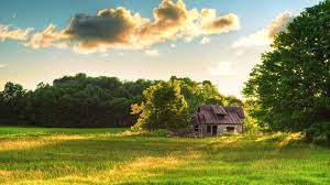 Beautiful scenery wallpapers hd free download scenery pictures in high quality scenery desktop backgrounds scenery nature photos in high definition one hd wallpaper provide beautiful nature scenery images download and brings beauty on your screen. Beautiful Pictures Of Nature Scenery House Beautiful Natural Scenery Wallpaper 1920x1080 Landscape Wallpaper Beautiful Scenery Wallpaper Scenery Wallpaper