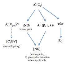 File Flow Chart Of Consonant Cluster Phonotactics Png