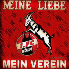 Jedesmal wenn der fc ein tor kassiert macht mein hund einen salto ist ja unglaublich. Pin Auf Fc