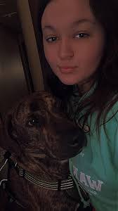 Lost Dogs in Albany, Indiana