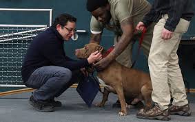 Search for dogs for adoption at shelters near ottumwa, ia. Chicago Alderman Who Got Contributions From Pet Store Owner Flips On Anti Puppy Mill Law Chicago Tribune