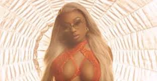 Thee stallion is only one of megan's stage names. Megan Thee Stallion The Fader
