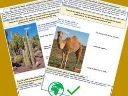 The adaptations of seeds to a desert environment are poorly understood. Hot Desert Plant And Animal Adaptations Camel And Cactus By Stephen Bennett