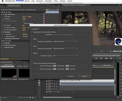 Adobe premiere pro is an excellent program for digital video processing and production on mac computer and the best option in the audiovisual world. Adobe Premiere Pro Cc 2020 Download For Mac Free