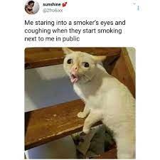 Pin On Funny And True