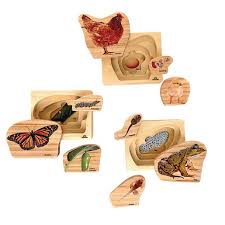 Download Environments Earlystem Life Cycles Nesting Puzzles Set Of 3